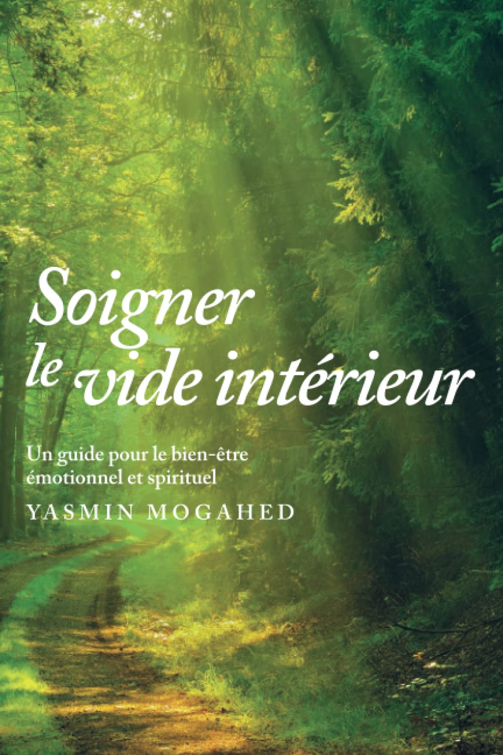 Soigner le vide intérieur: Guide pour un bien - être spirituel et émotionnel disponible chez Al - imen