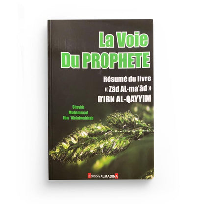 la-voie-du-prophete-psl